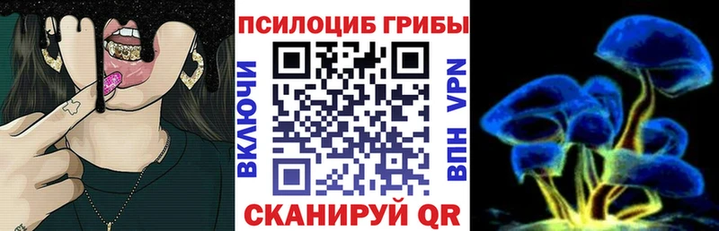 Псилоцибиновые грибы прущие грибы Белозерск